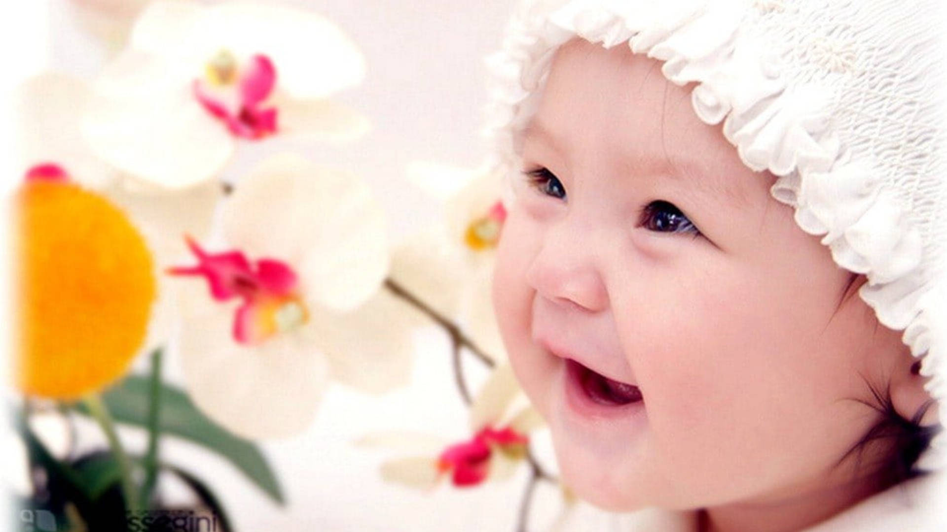 Cheerful Baby Love With Flowers Wallpaper