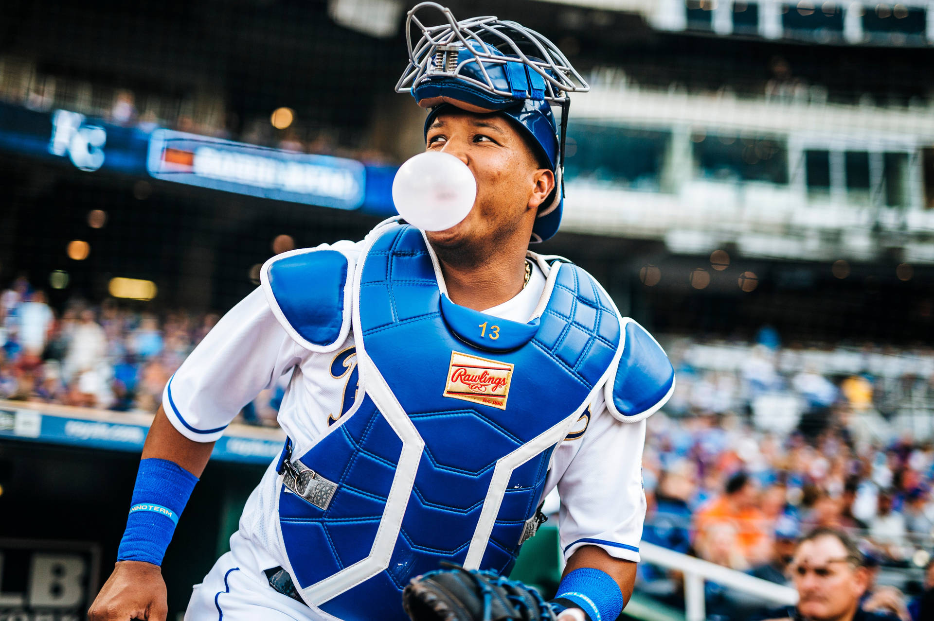 Download Salvador Perez From Above Wallpaper