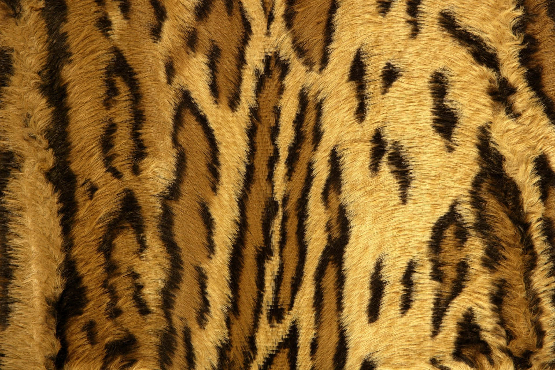 Tiger Skin Texture Background