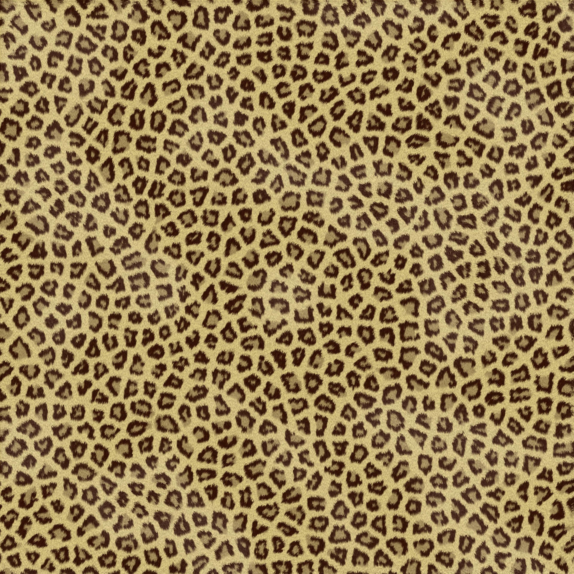 Feel wild and free in this beautiful cheetah print background.