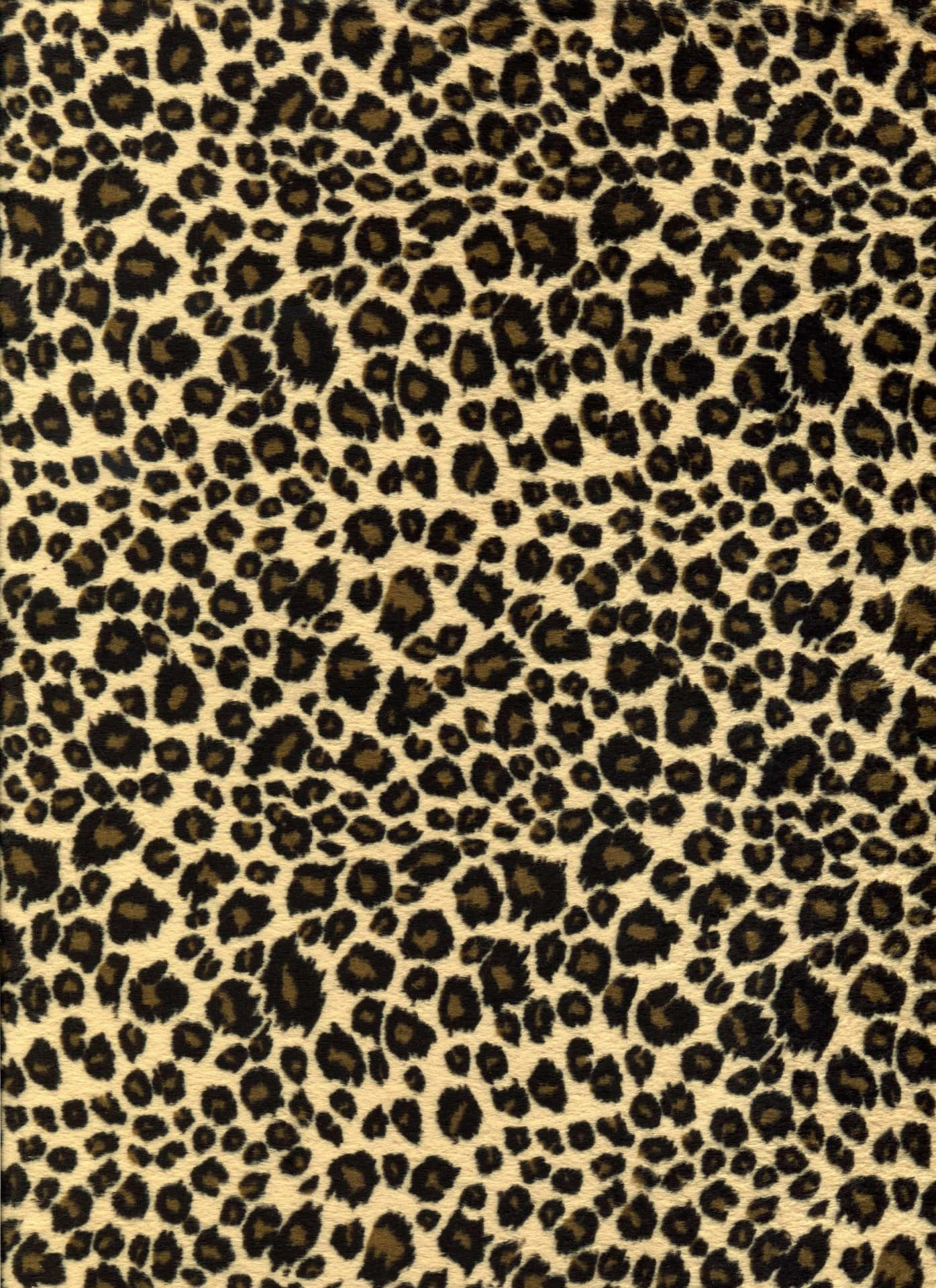 Add Life and Style with a Cheetah Print Background