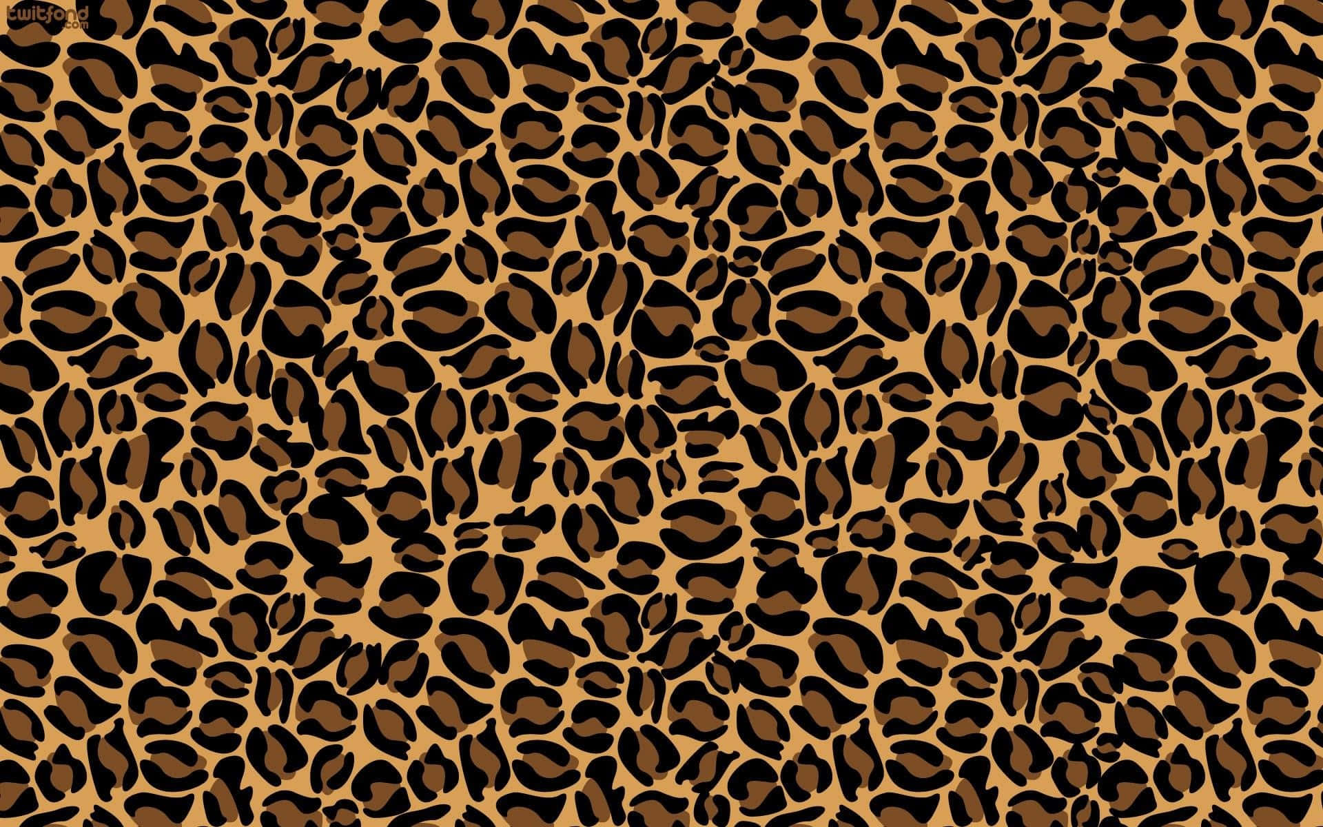 Bold and beautiful cheetah print background.