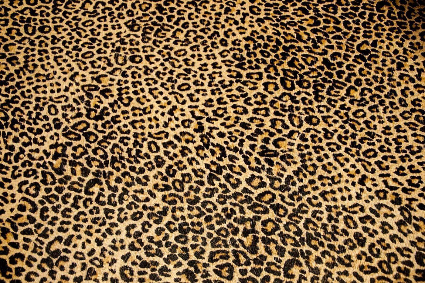 Ennärbild På Ett Leopardmönstrat Tyg