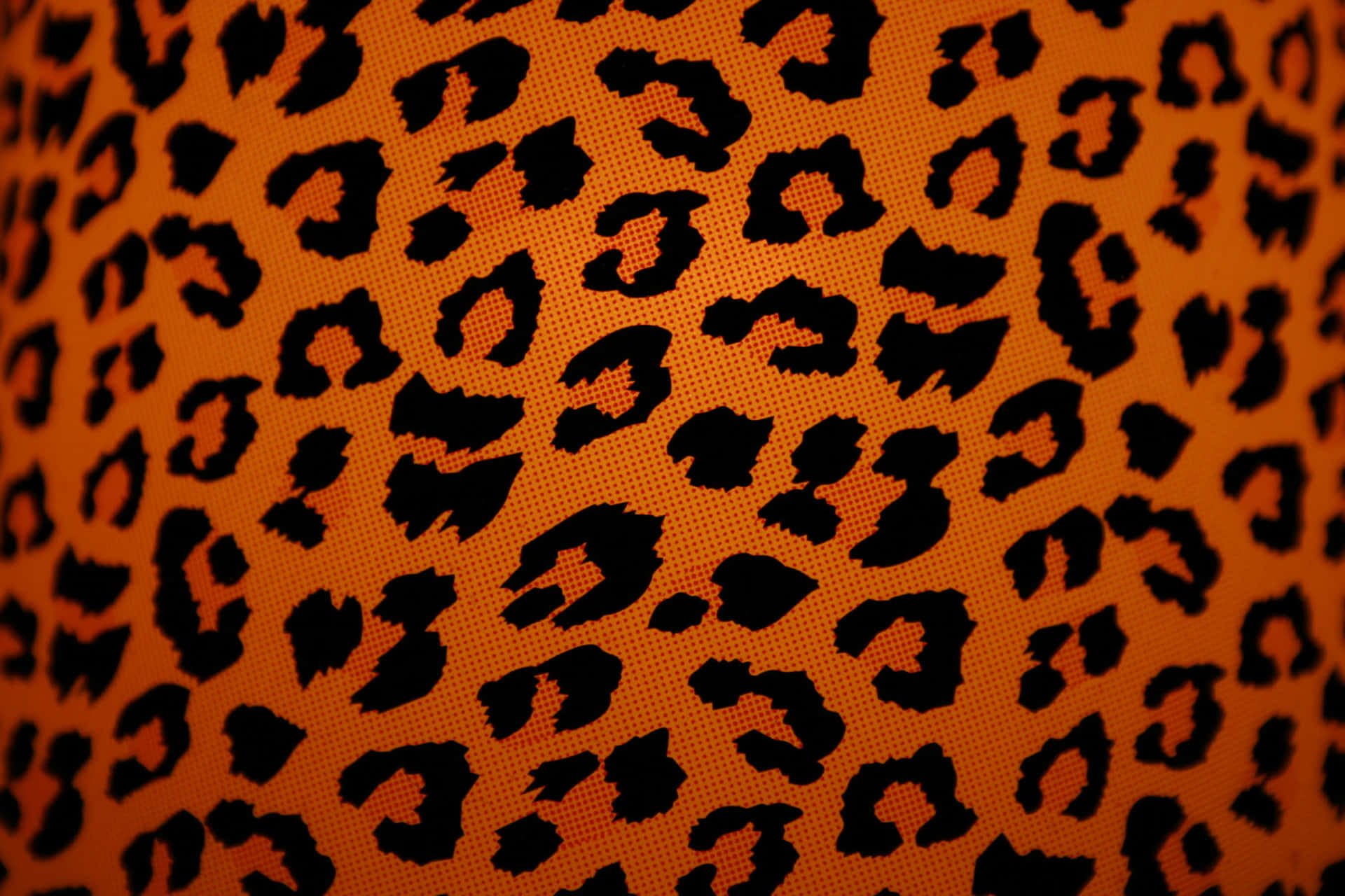 Ennärbild Av En Lampskärm Med Leopardtryck