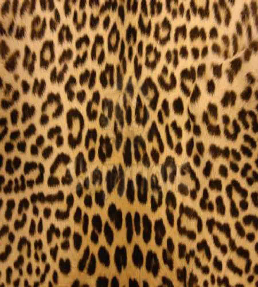 Viltoch Elegansamt - En Bakgrund Med Leopardmönster