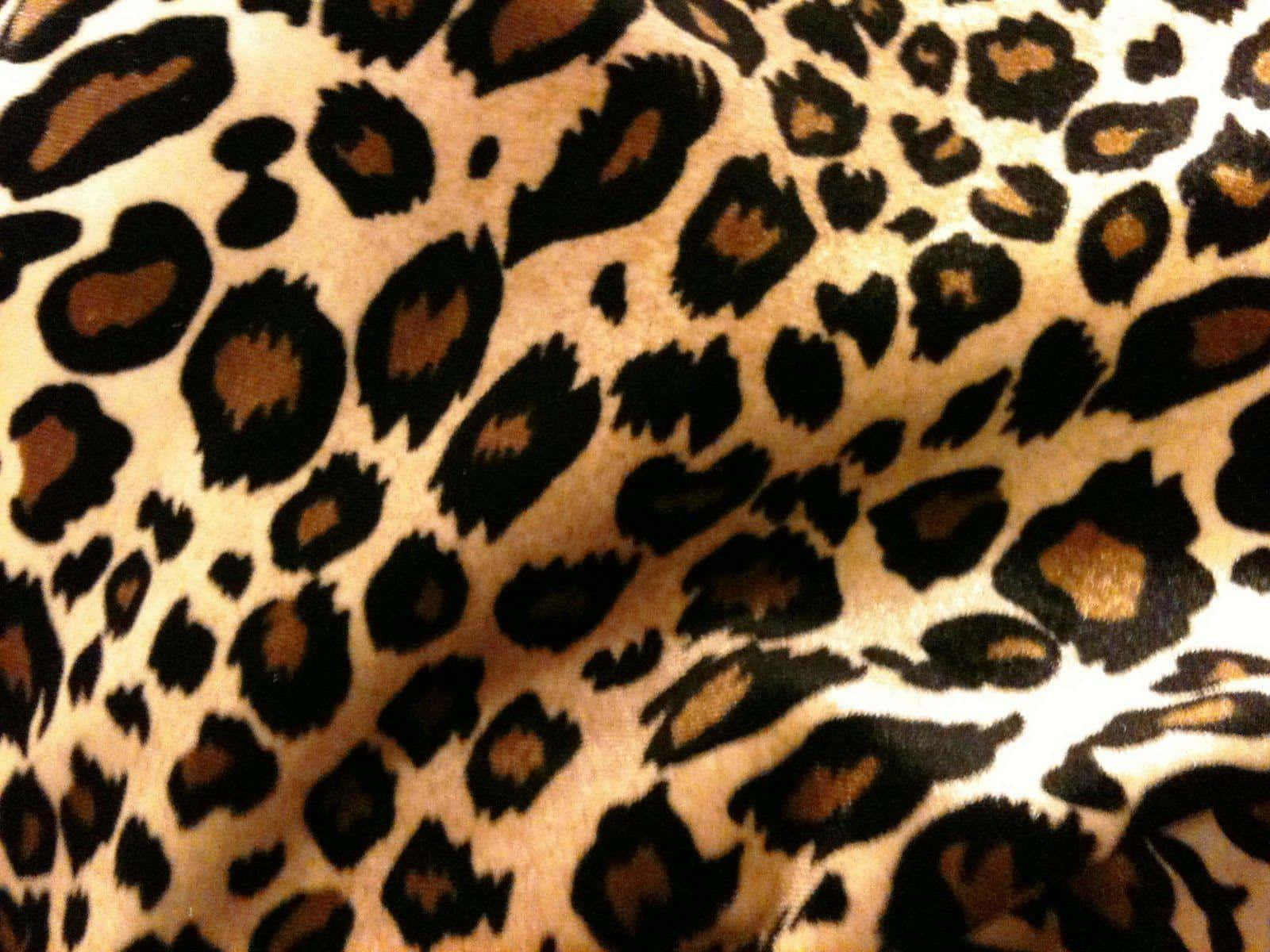 Our favorite cheetah print is here - and it's sure to make a bold statement!