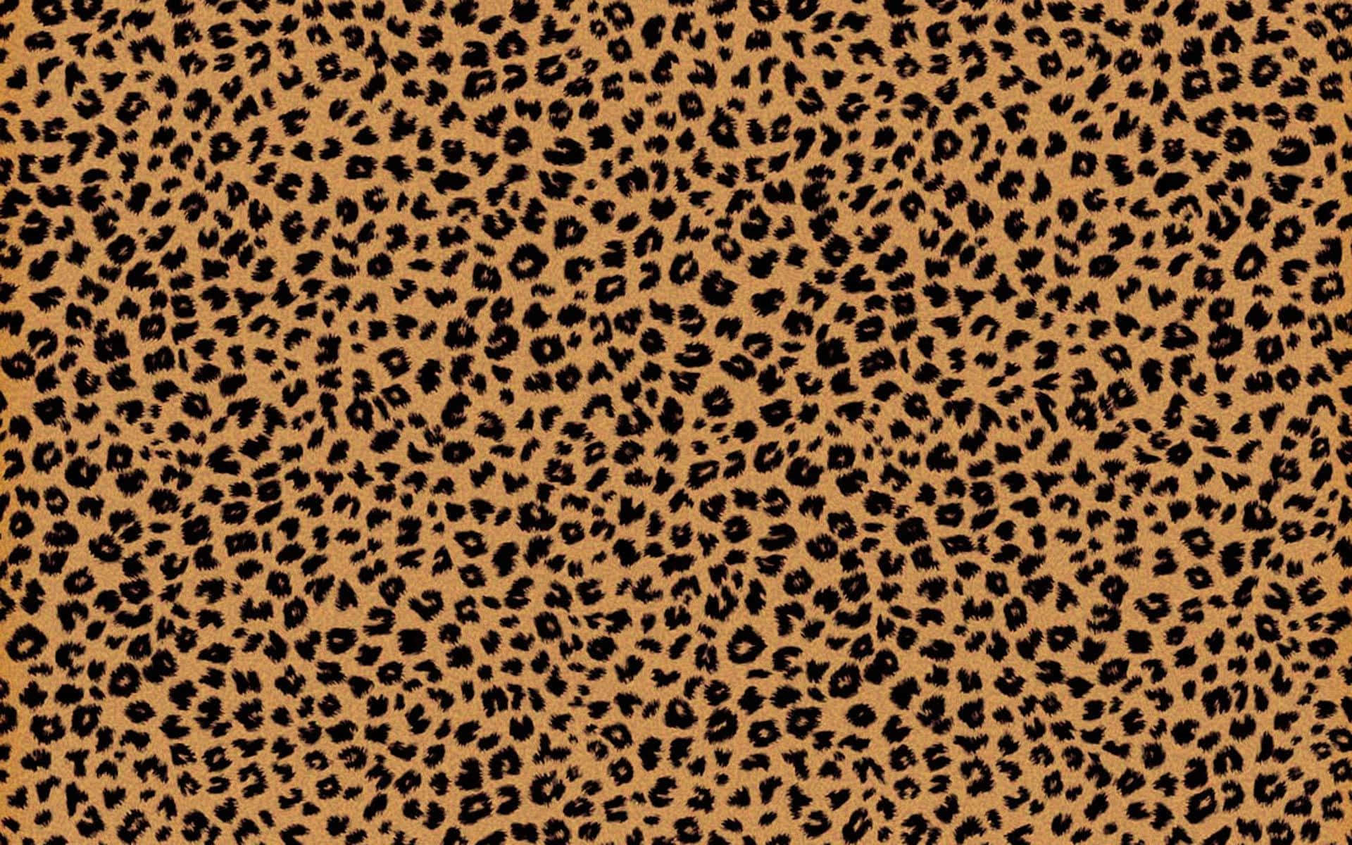 Bold Cheetah Print Background