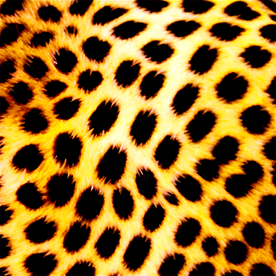 Cheetah Print Closeup View Png 4 PNG