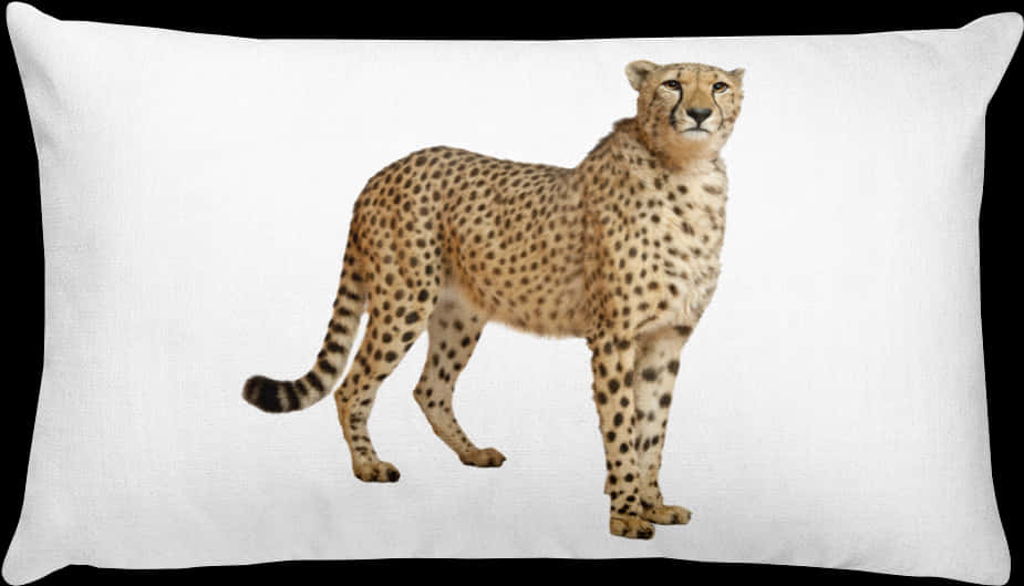 Cheetah Print Cushion Decor PNG