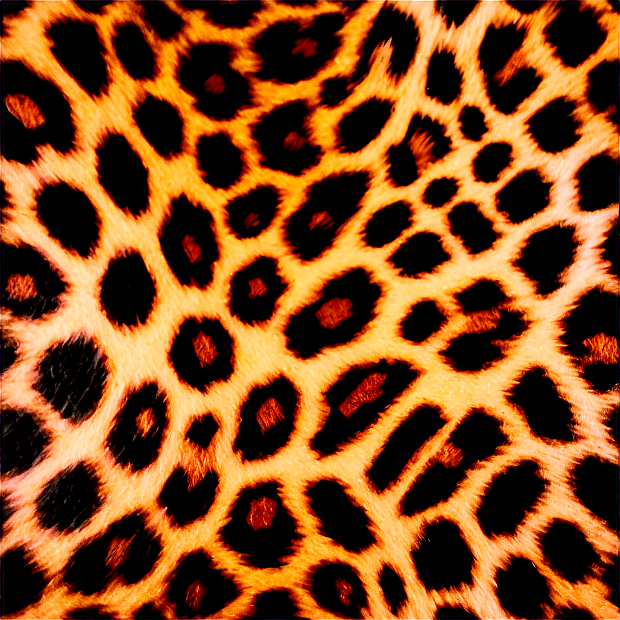 Cheetah Print For Print And Web Png 69 PNG