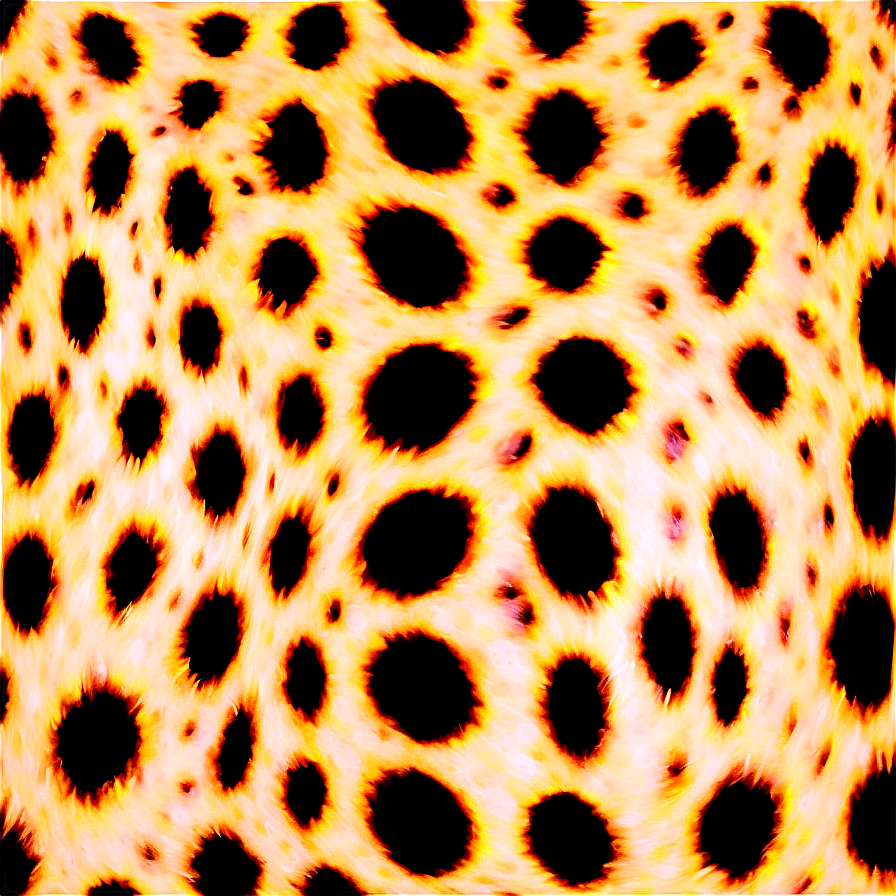 Cheetah Print For Print And Web Png Koq PNG