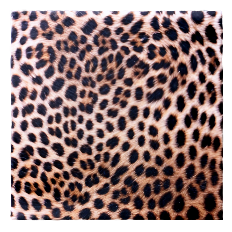 Cheetah Print Invitation Background Png Crl20 PNG