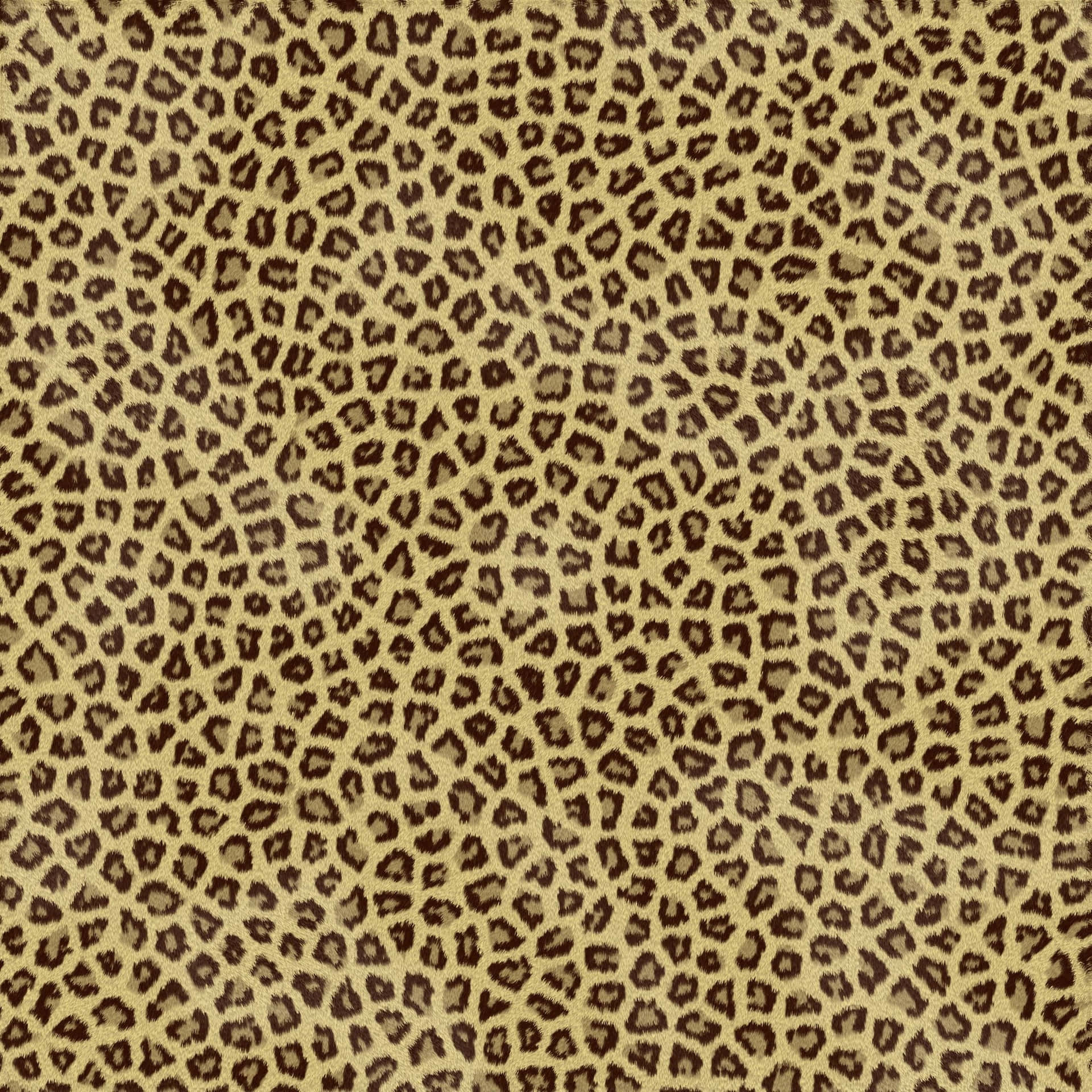 Cheetah Print Pattern Texture Wallpaper