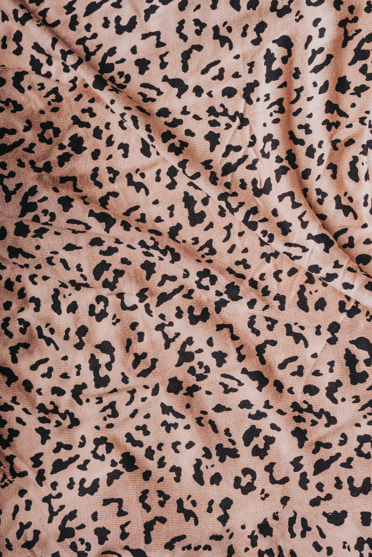 Cheetah Printed Blanket Wallpaper