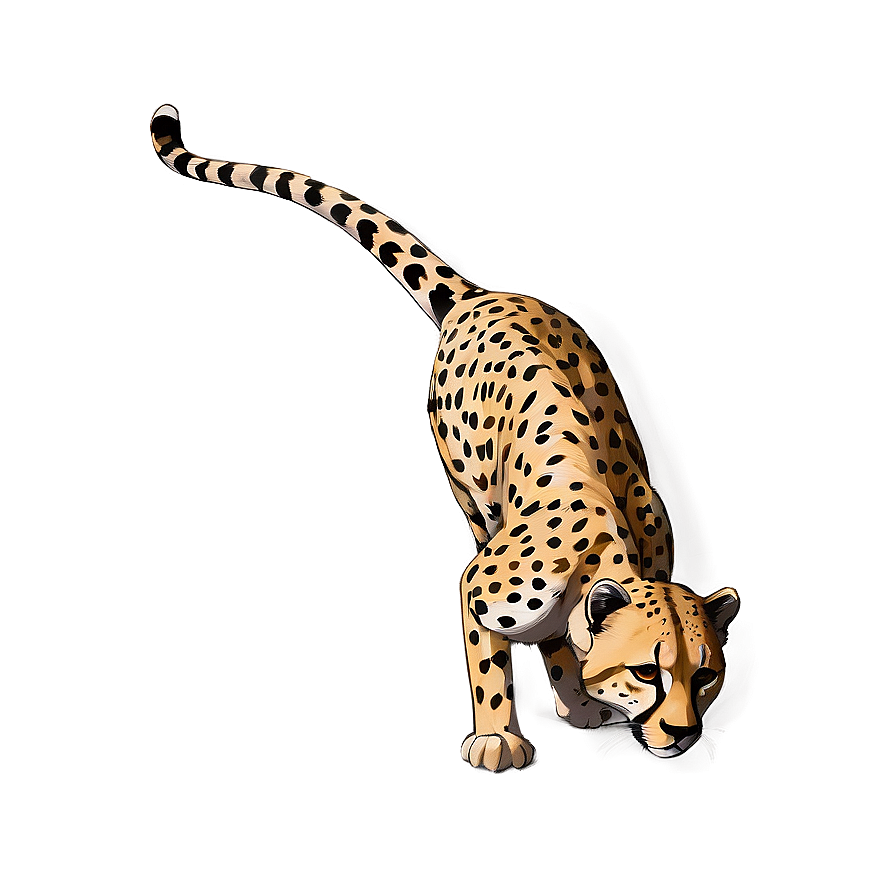 Cheetah Tail Png Hdx47 PNG