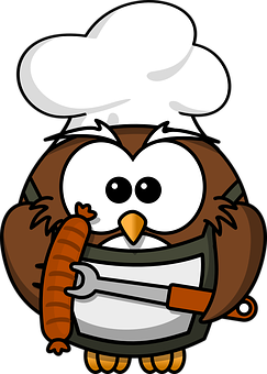 Chef Owl Cartoon Illustration PNG