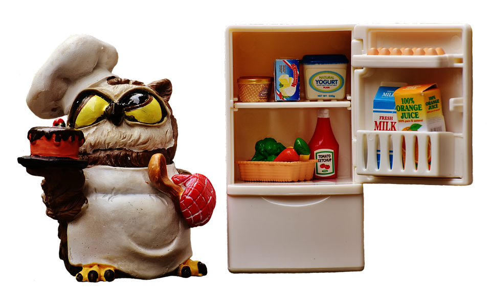 Chef Owlwith Fridgeand Food Items PNG