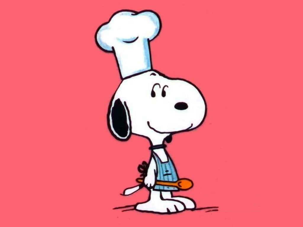 Chef Snoopy Pink Background Wallpaper