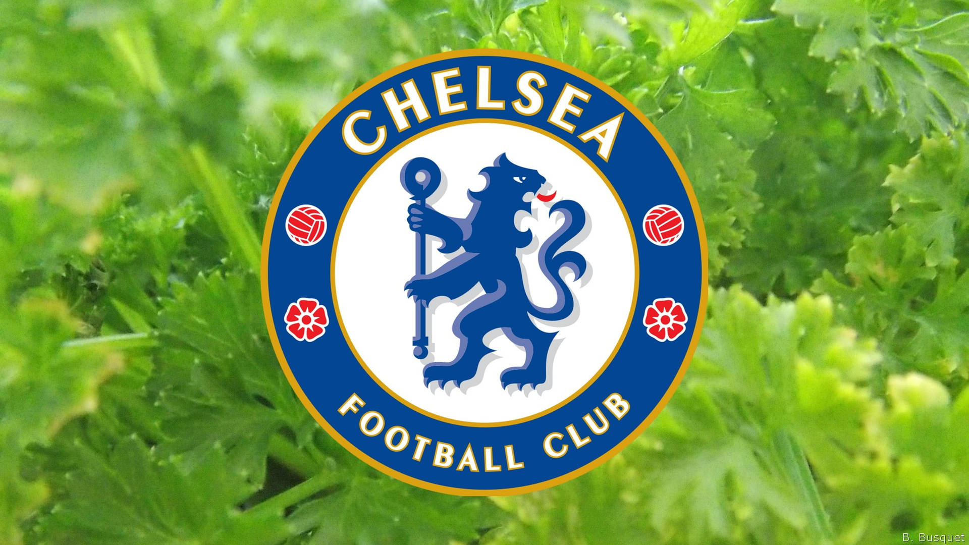 Chelsea Logo In Green Leaves Background