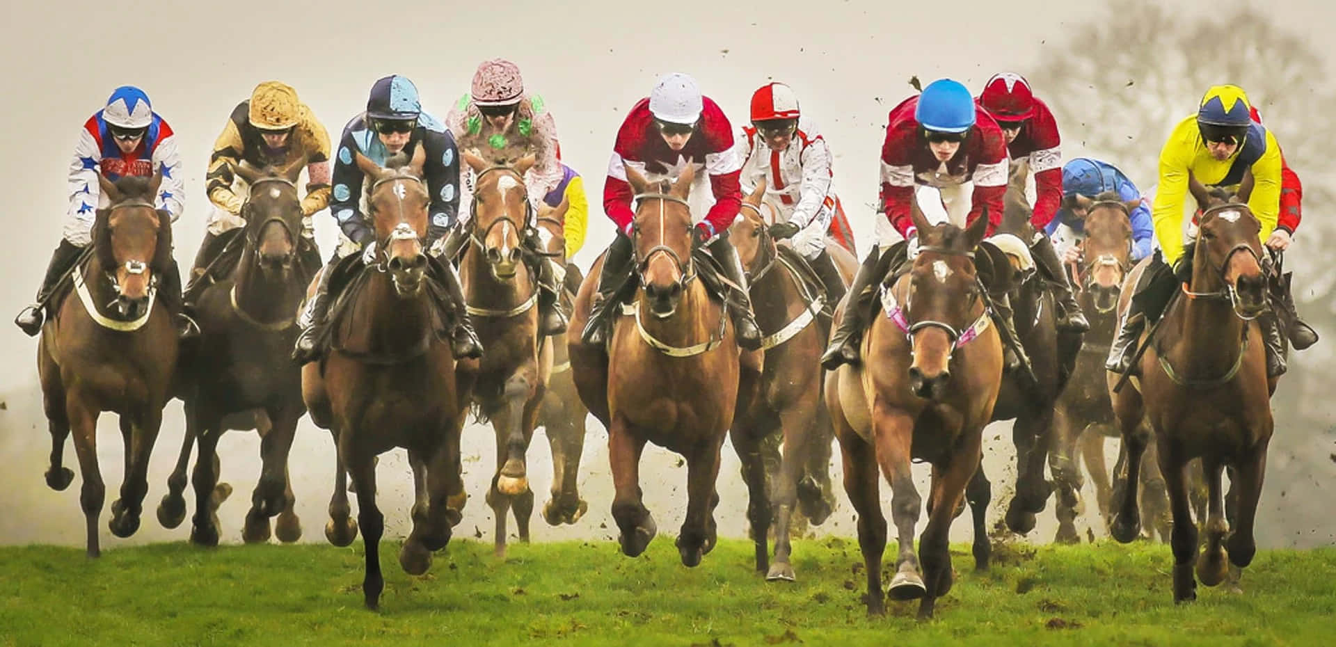 Race horses competing on the field at Cheltenham Festival Wallpaper