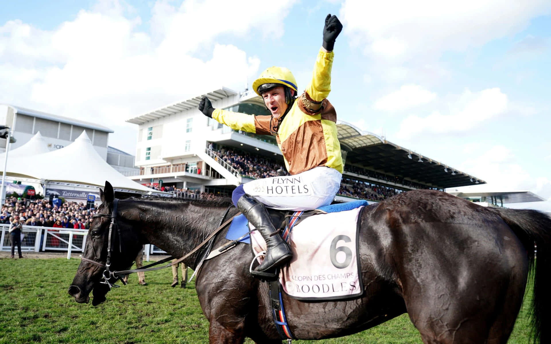 Excitement at Cheltenham Festival Wallpaper