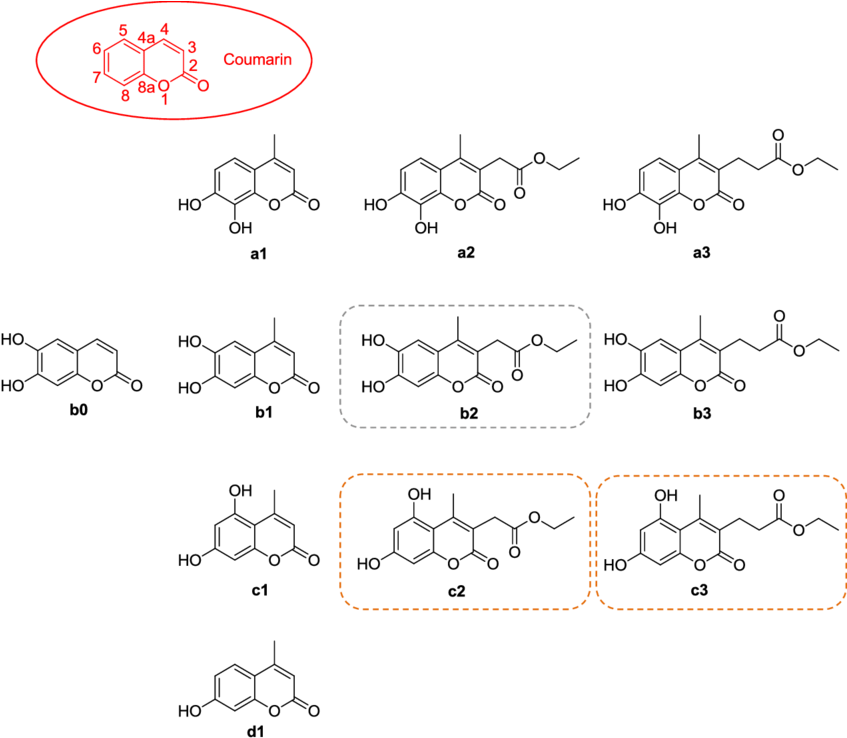 Chemical_ Structures_with_ Rounded_ Rectangles_ Highlighting PNG
