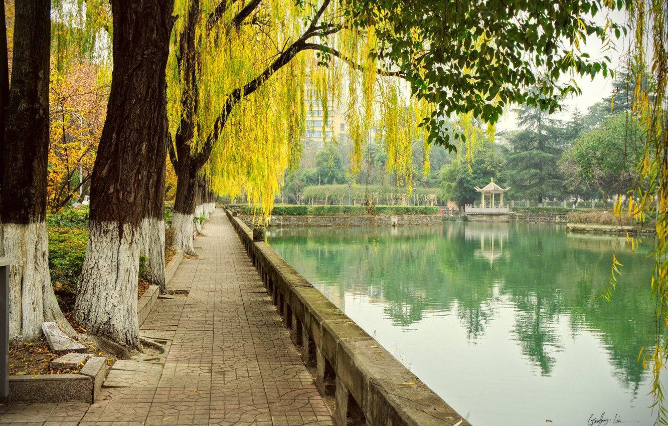 Paisagem Natural De Chengdu Papel de Parede