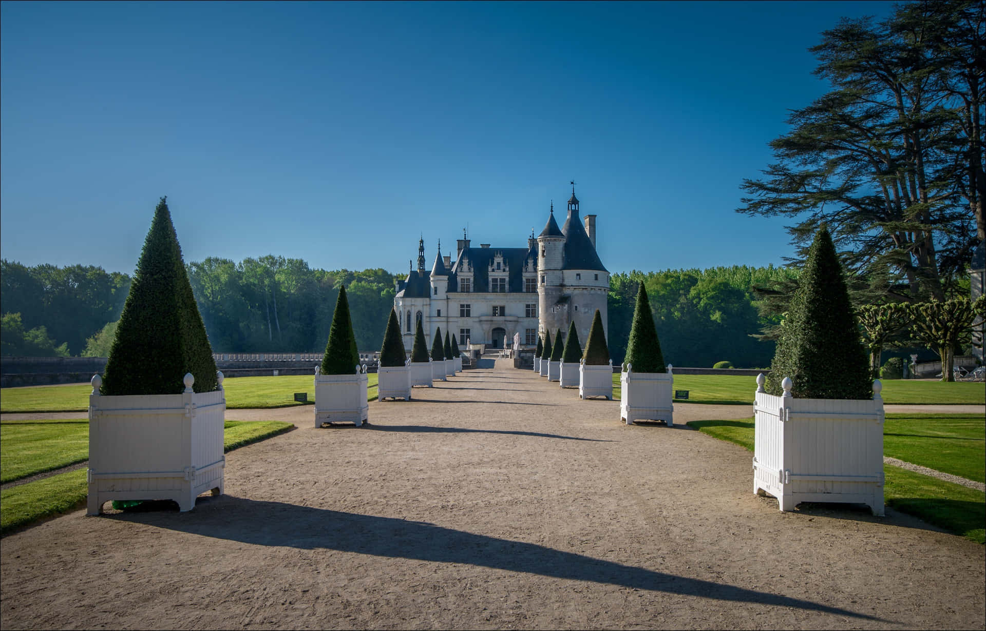 Chenonceau Topiary Wallpaper