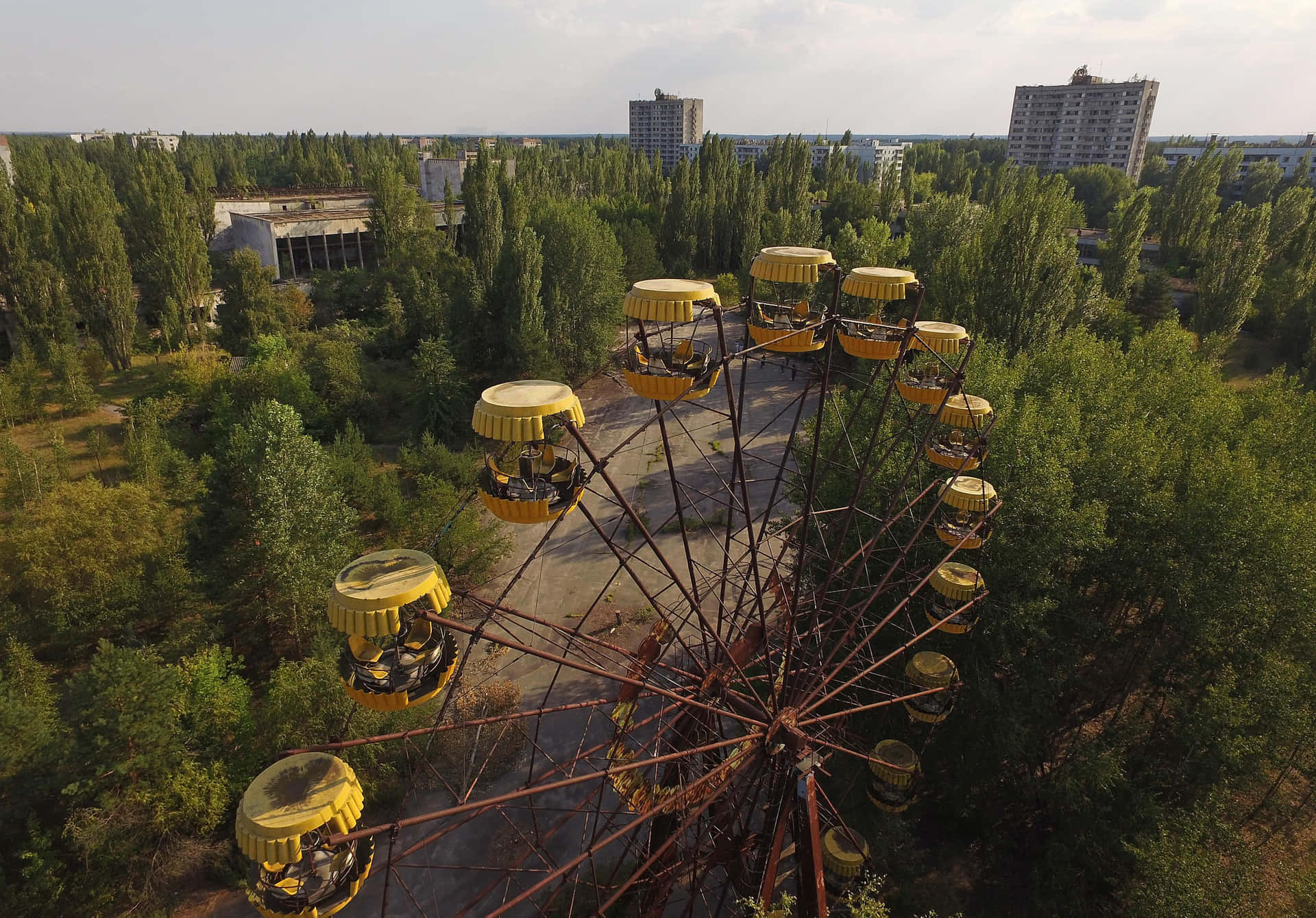 A Ferris Wheel In The Middle Of A Forest