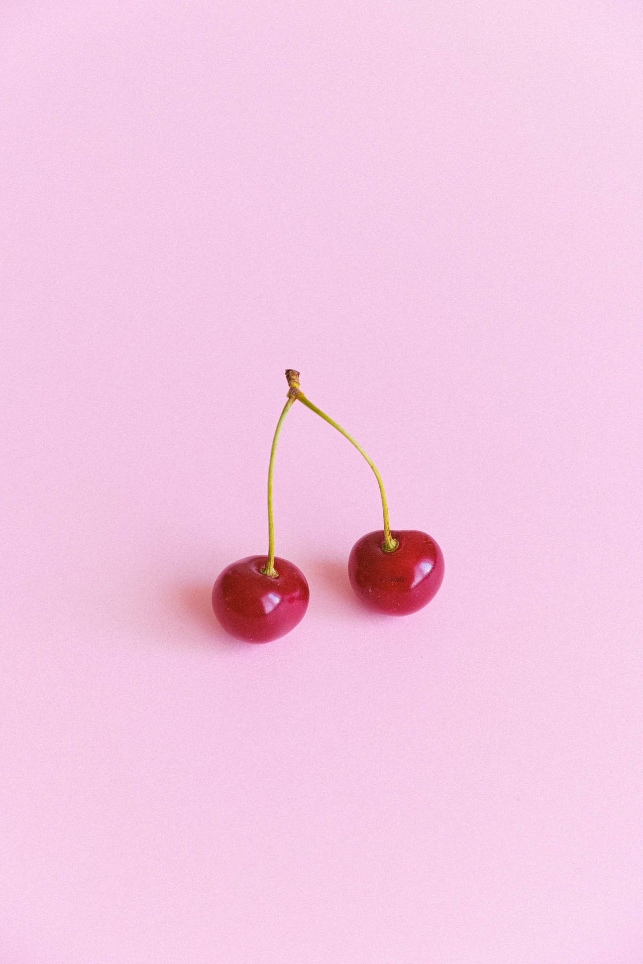 Cherries On Pink Background Wallpaper