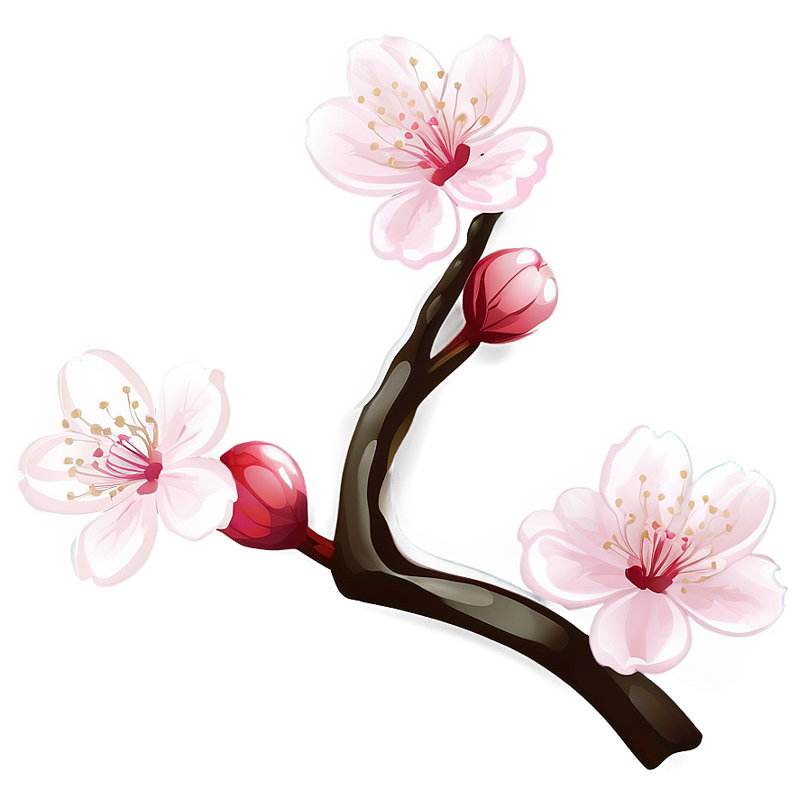 Cherry Blossom Aesthetic Wallpaper Png Gxa98 PNG