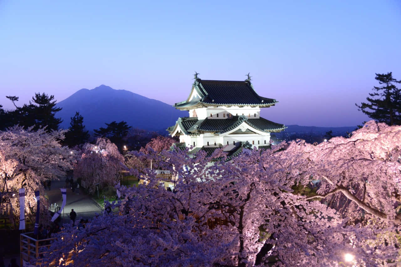Cherry Blossom Against Hirosaki Castle Picture