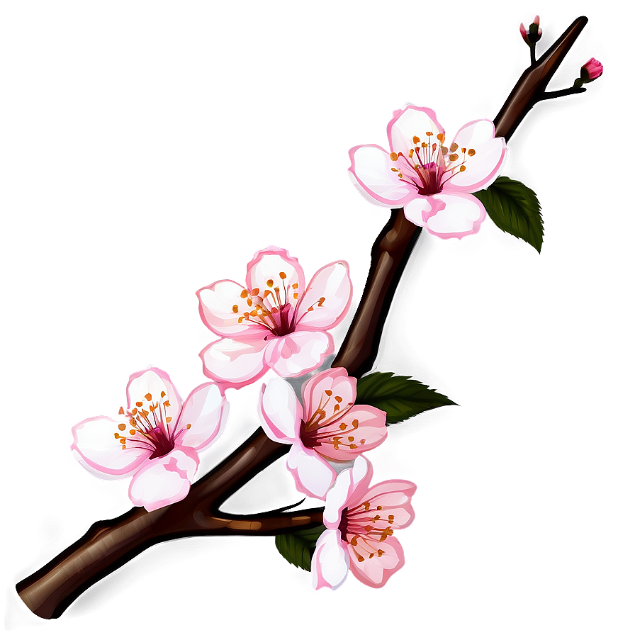 Cherry Blossom Branch Design Png 05032024 PNG