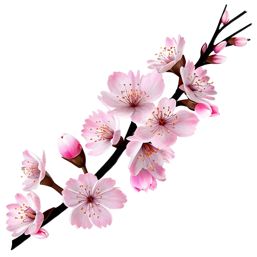 Cherry Blossom Branch Design Png Xiv41 PNG