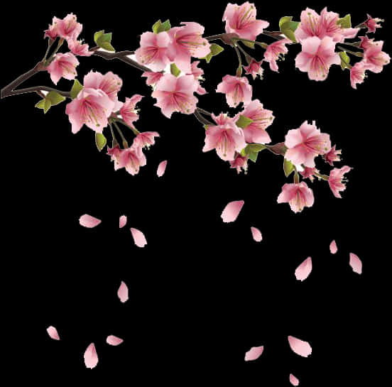 Cherry Blossom Branch Falling Petals PNG