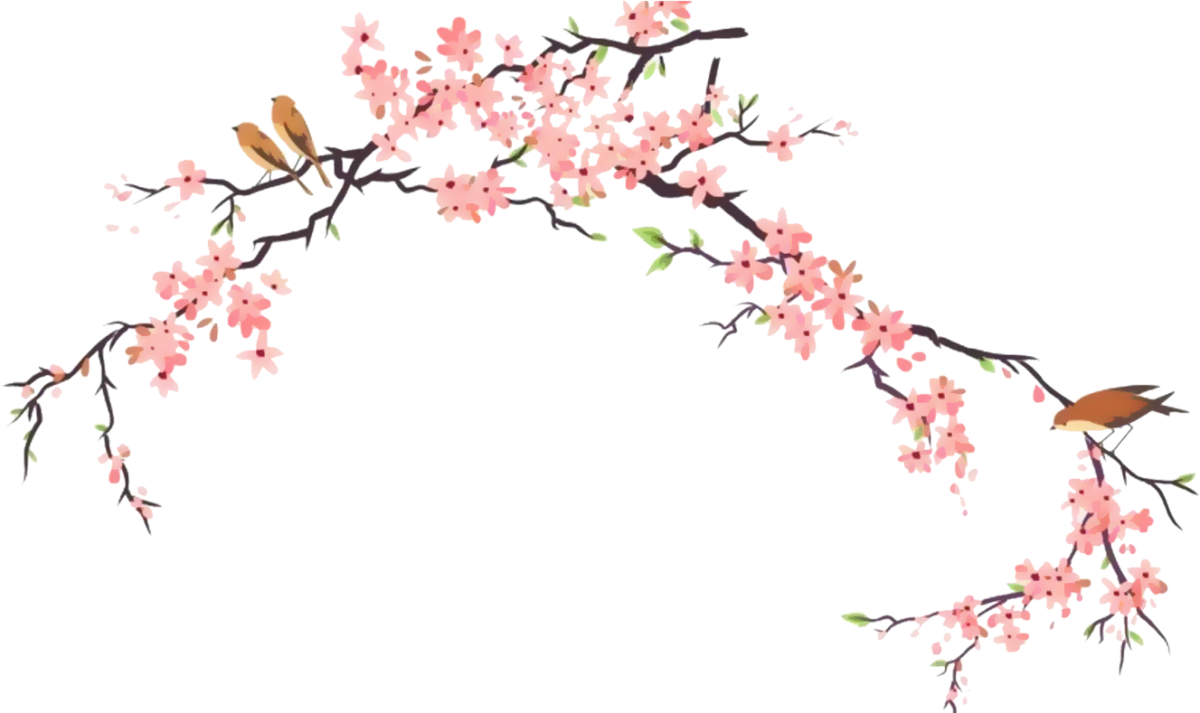 Download Cherry Blossom Branch Illustration | Wallpapers.com