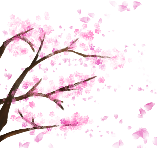 Cherry Blossom Branches Artistic Representation PNG