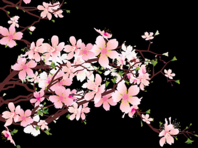 Cherry Blossom Branches Artistic Representation PNG