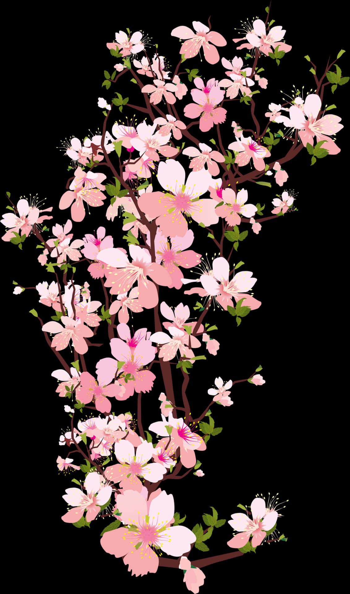 Cherry Blossom Branches Artwork PNG