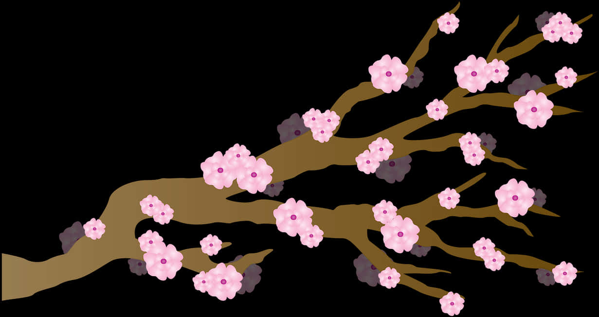 Cherry Blossom Branches Illustration PNG