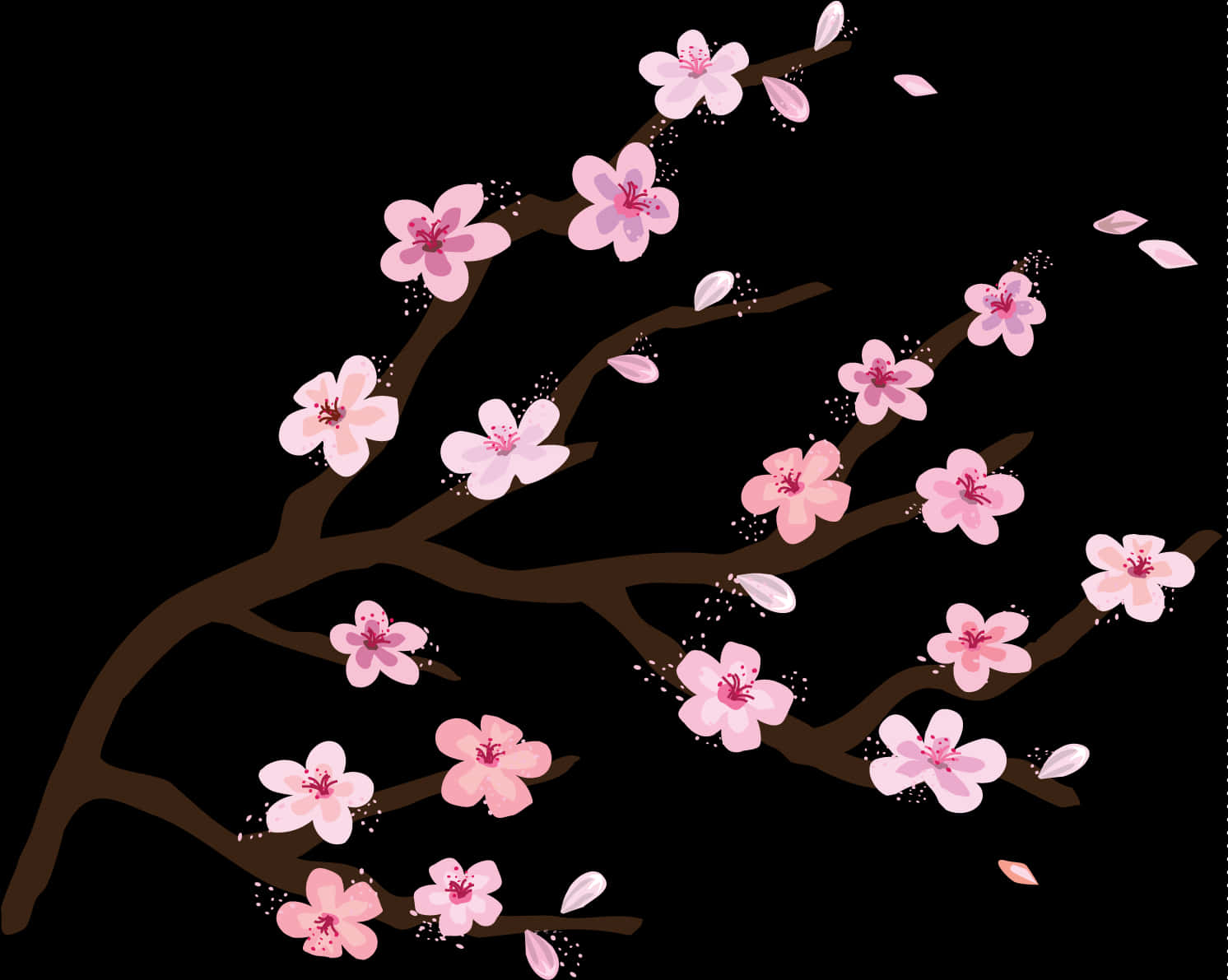Cherry Blossom Branches Illustration PNG