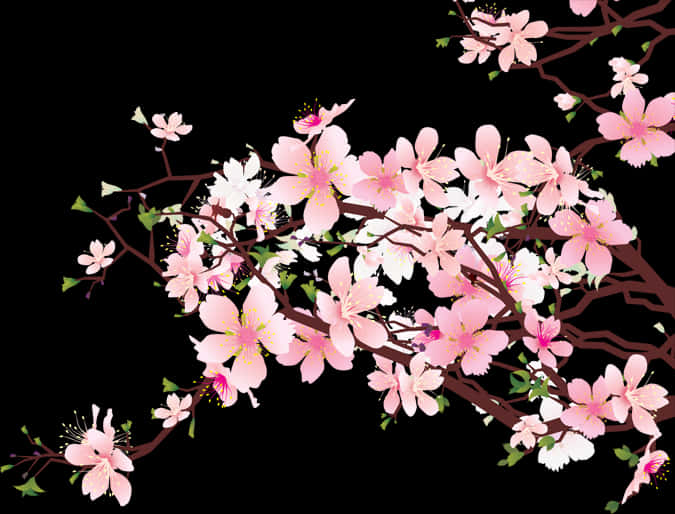 Cherry Blossom Branches Illustration PNG