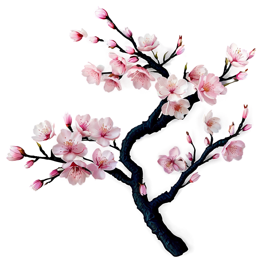 Cherry Blossom Branches Png Lna PNG