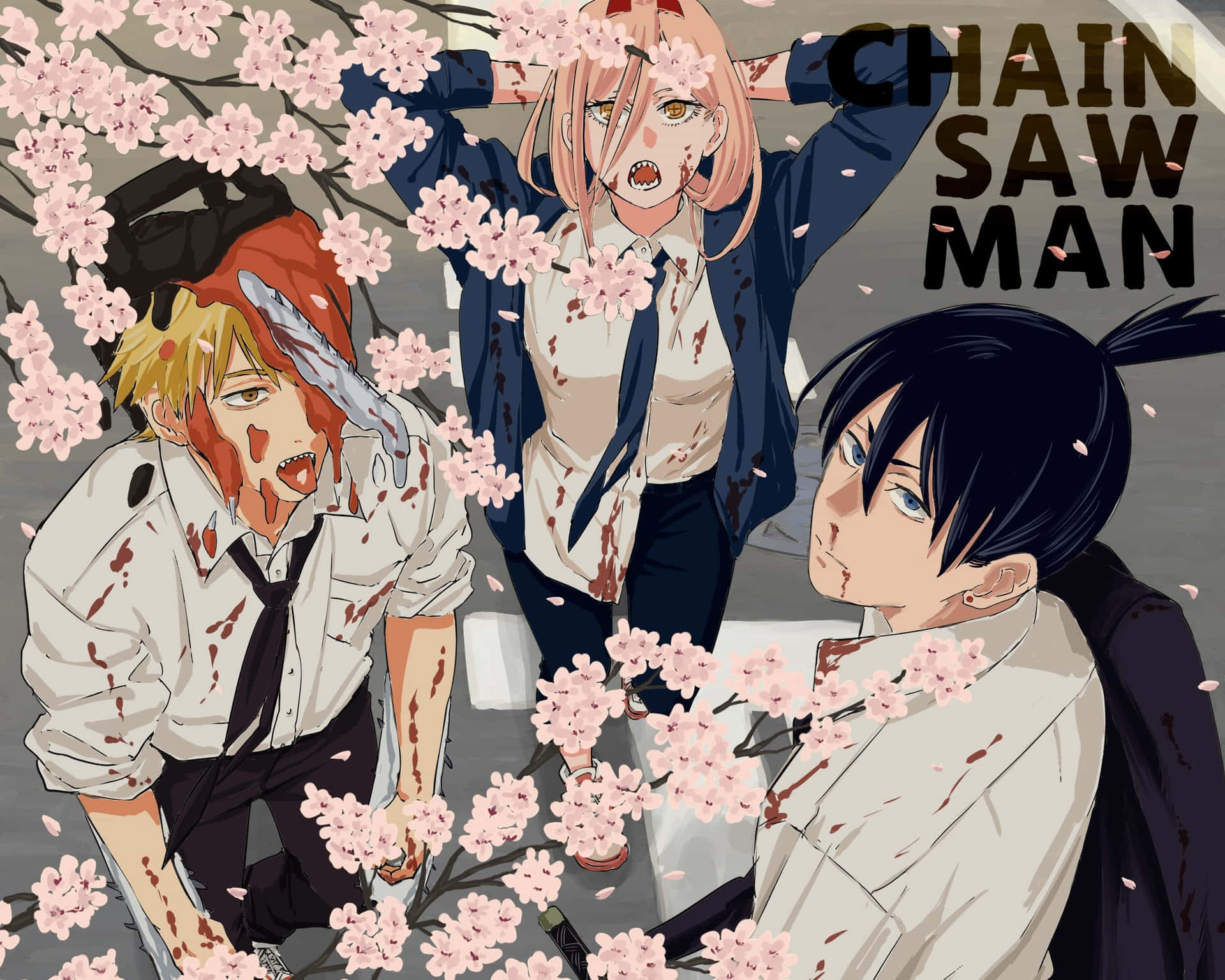 Cherry Blossom Chainsaw Man Pfp Wallpaper