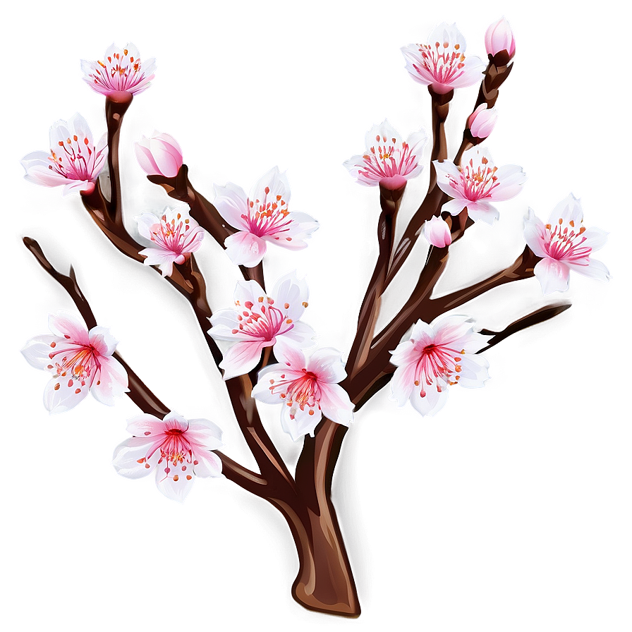Cherry Blossom D PNG