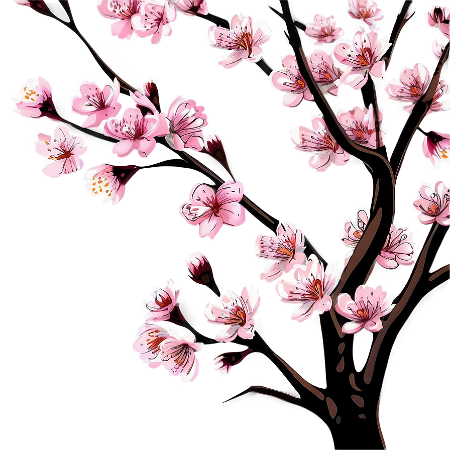 Cherry Blossom Drawing Png 28 PNG