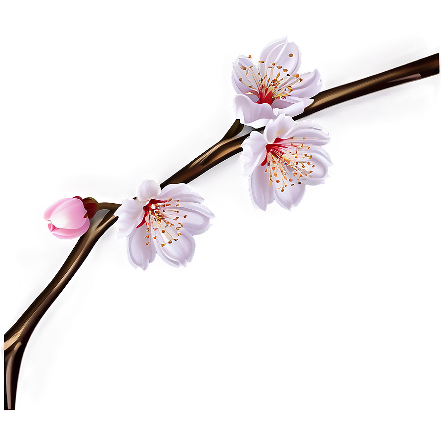 Cherry Blossom Festival Graphics Png 40 PNG