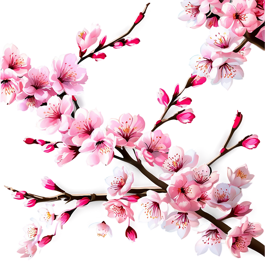 Cherry Blossom Festival Graphics Png Aya73 PNG