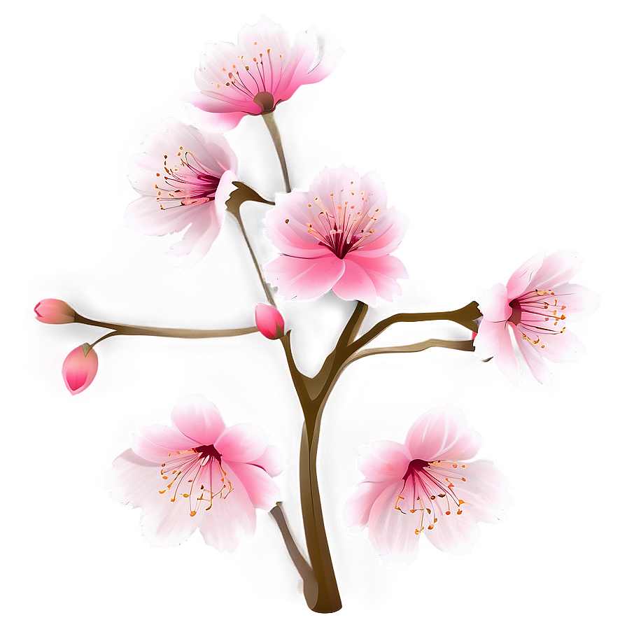 Cherry Blossom Flower Transparent Png Mhm76 PNG