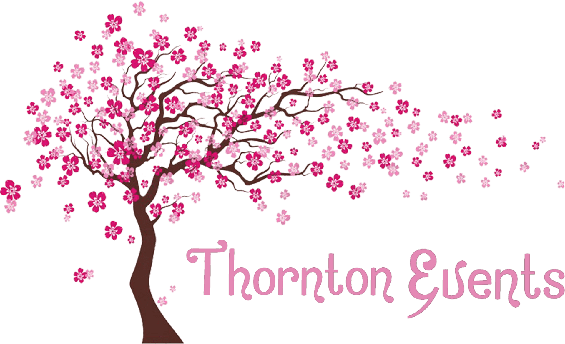 Cherry Blossom Graphic Thornton Events PNG